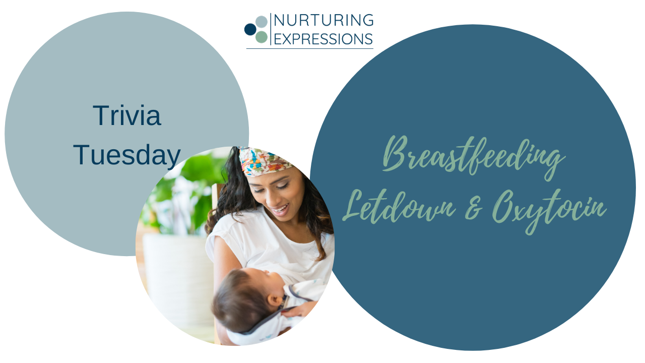 Video Cover reads Trivia Tuesday Breastfeeding Letdown & Oxytocin