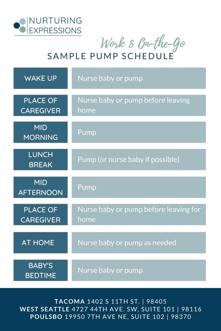 Sample Pumping Schedule: On-the-Go