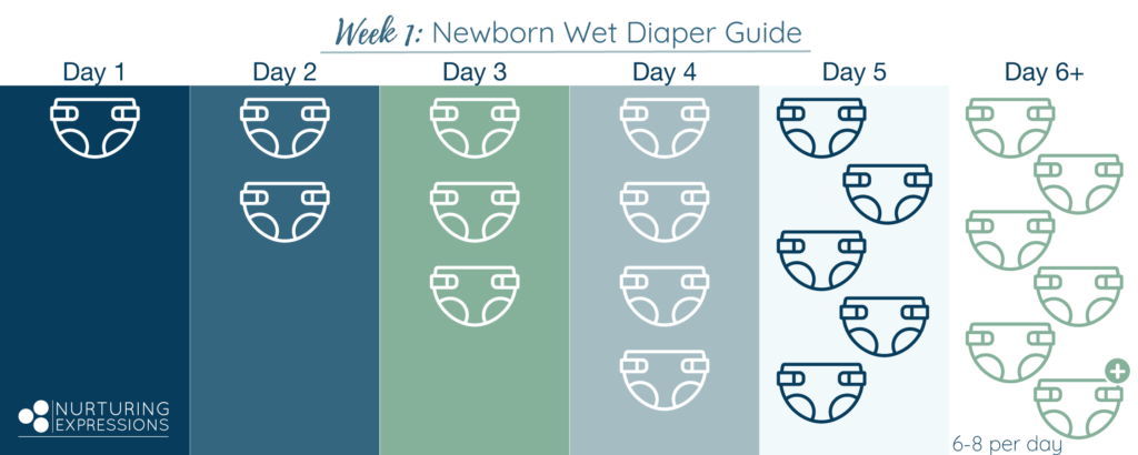 Week 1 Newborn Wet Diaper Guide